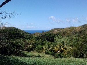 Fourth farm we visited way up in the middle of the mountains in the tropical forest. Beautiful, but really hard to get to.
