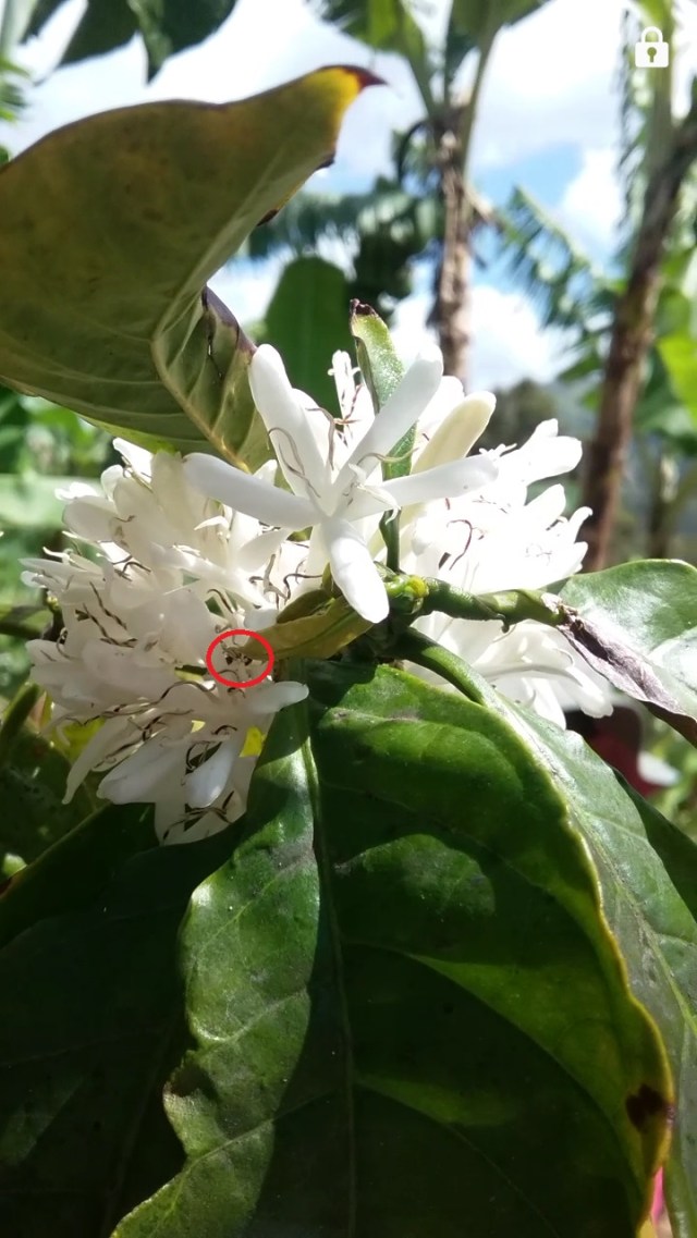 Screenshot_2017-03-24-20-55-39